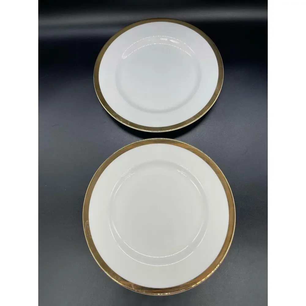 Pier 1 One Gold Band Set of 2 Salad Plates